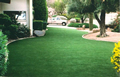 Waterless Grass image 6